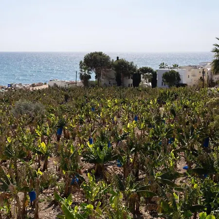 Orchid - Luxury 3br Retreat Between Paphos & Coral Bay Kissonerga