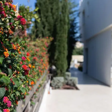 Orchid - Luxury 3br Retreat Between Paphos & Coral Bay *