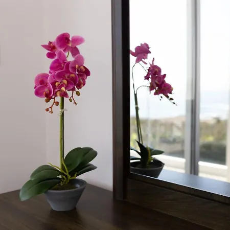 Holiday home Orchid