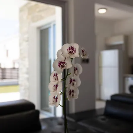 Tatil Evi Orchid - Luxury 3br Retreat Between Paphos & Coral Bay Kissonerga