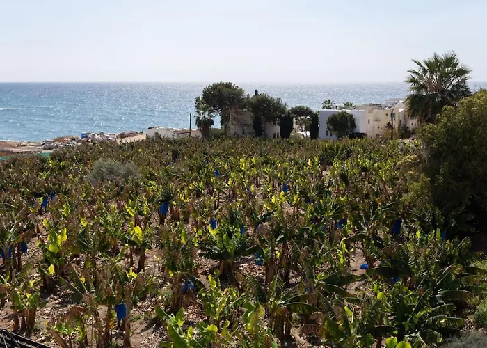 Orchid - Luxury 3br Retreat Between Paphos & Coral Bay Kissonerga