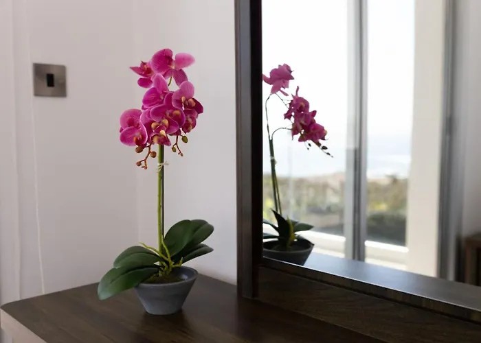 Prázdninový dům Orchid - Luxury 3br Retreat Between Paphos & Coral Bay